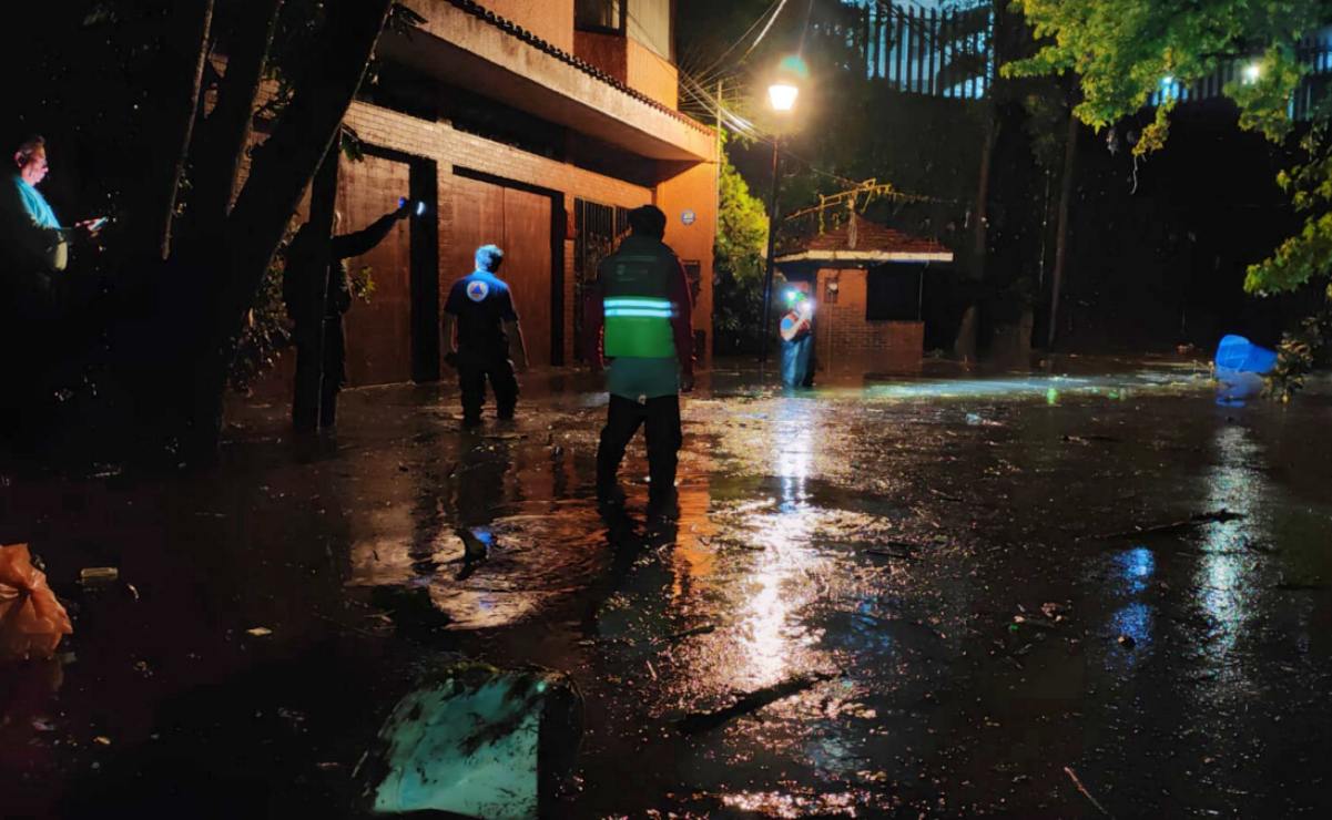 Nicole Vale retoma el oficio de su dinastía
