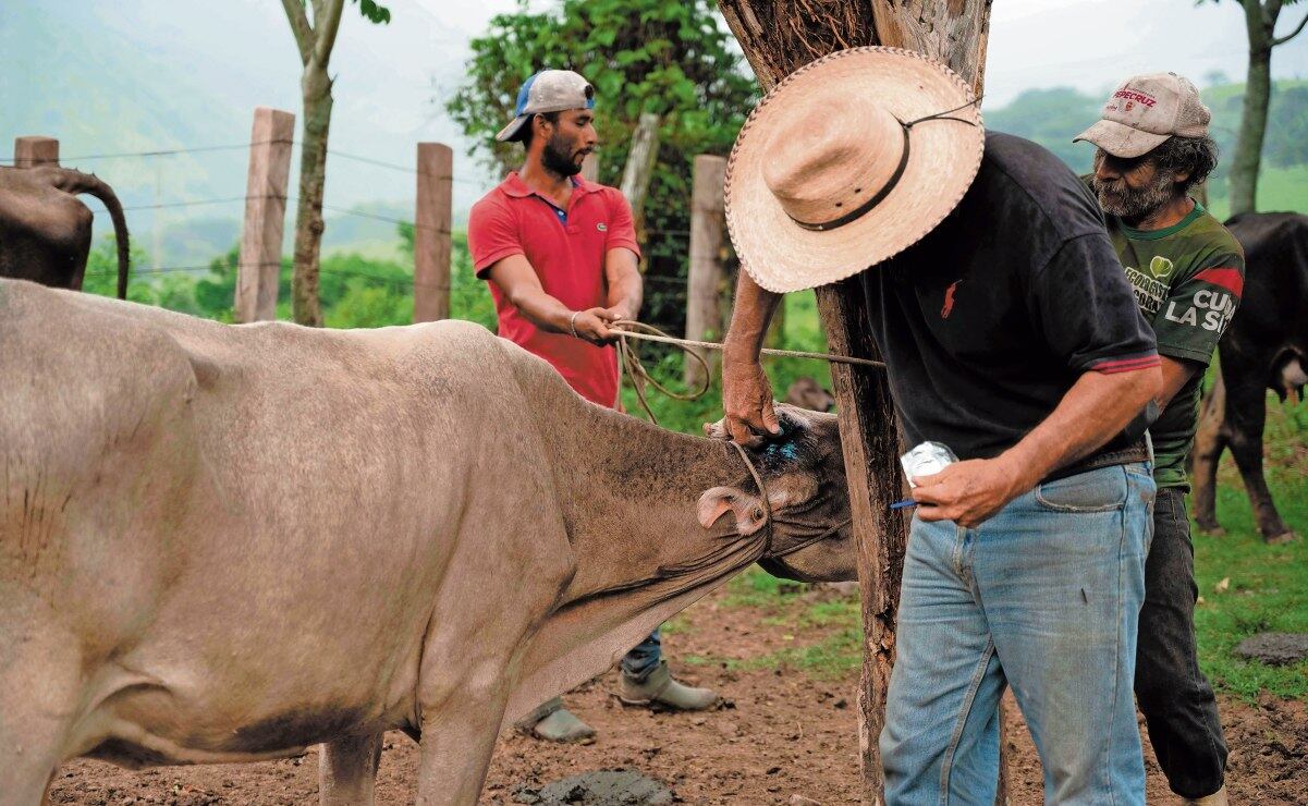 Alcaldía Cuauhtémoc limpia colonias; vecinos y empresas se suman a la jornada