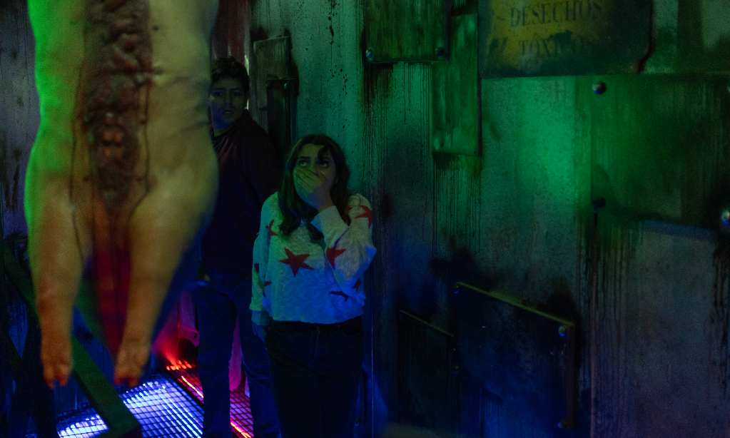 La oasismanía toca a fans poco convencionales