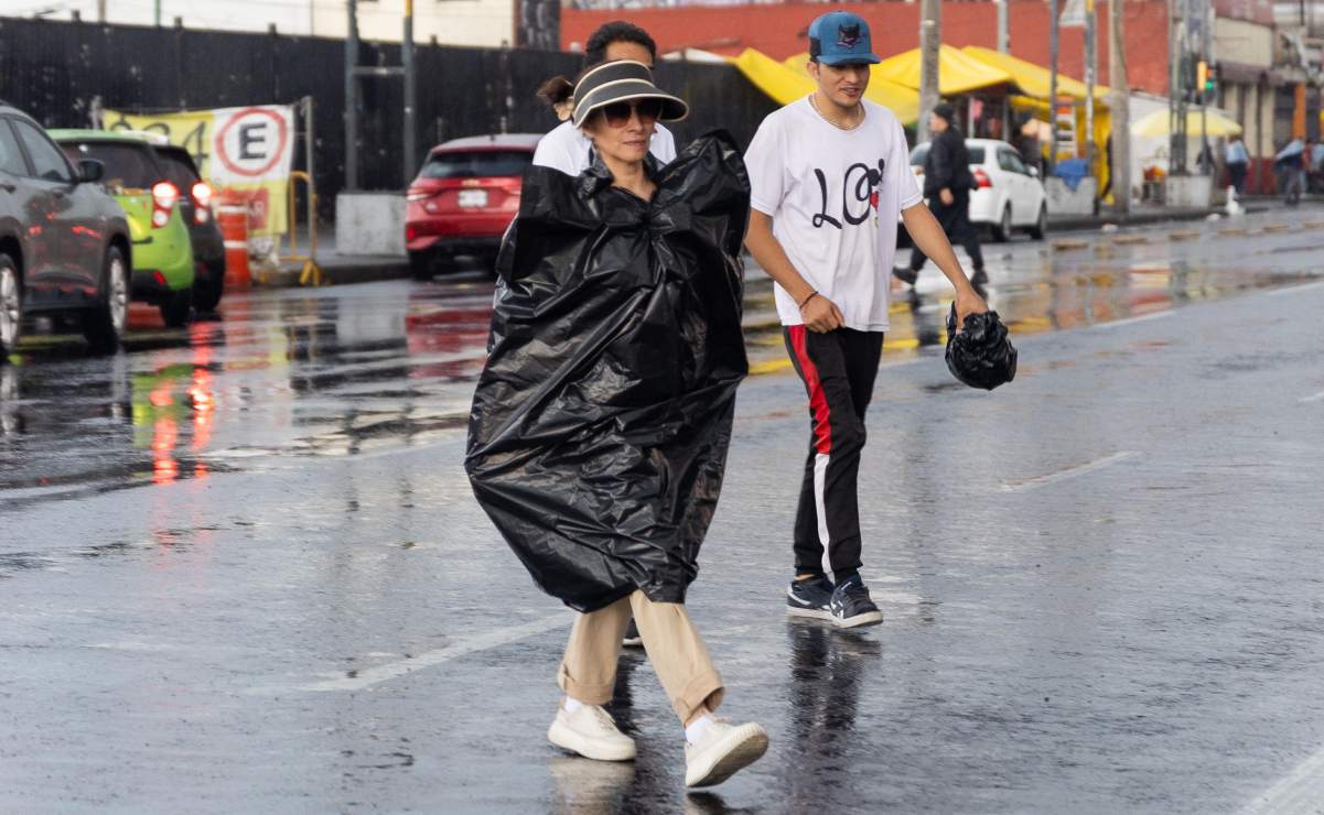 Alcaldía Benito Juárez intensifica trabajos de bacheo; lleva un avance de 60%