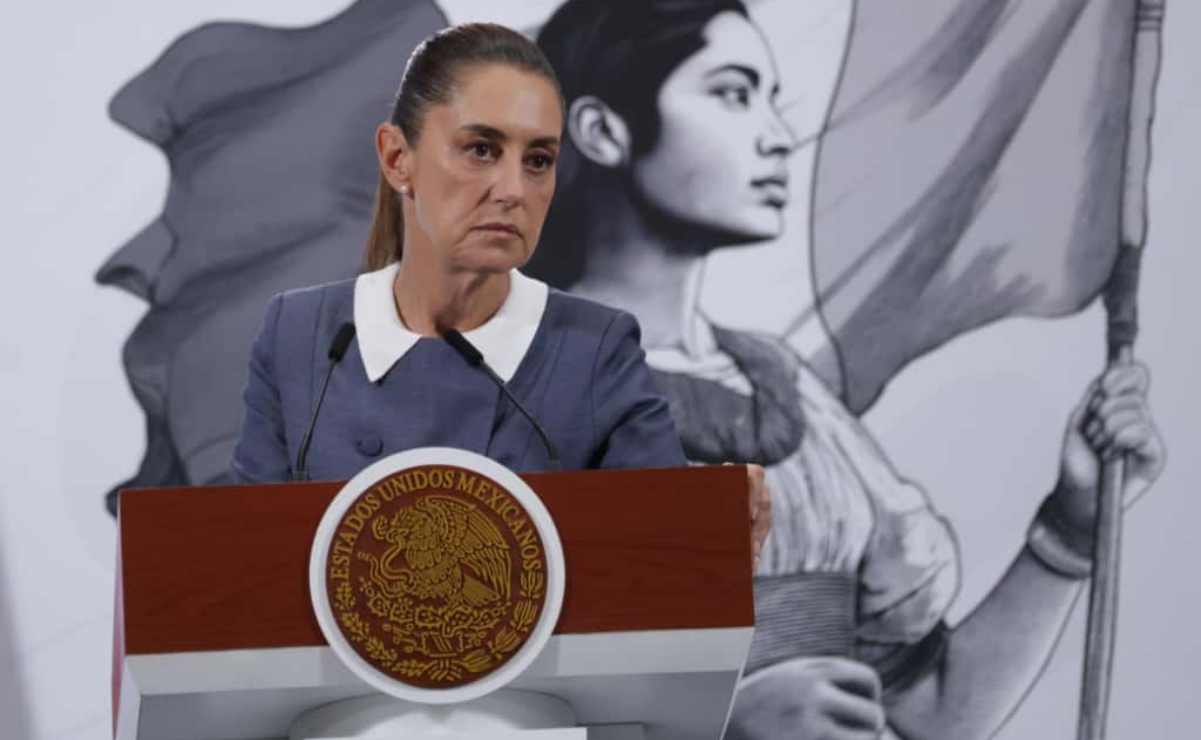 Descubren nueva especie de luciérnaga en Chapultepec y la nombran María Sabina