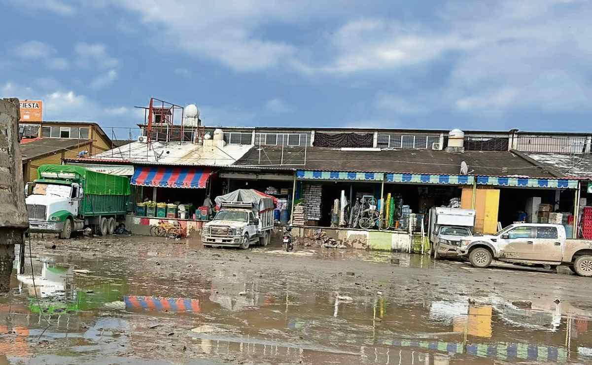Niño aficionado del Metro es nombrado director por un día; se declara su seguidor número uno