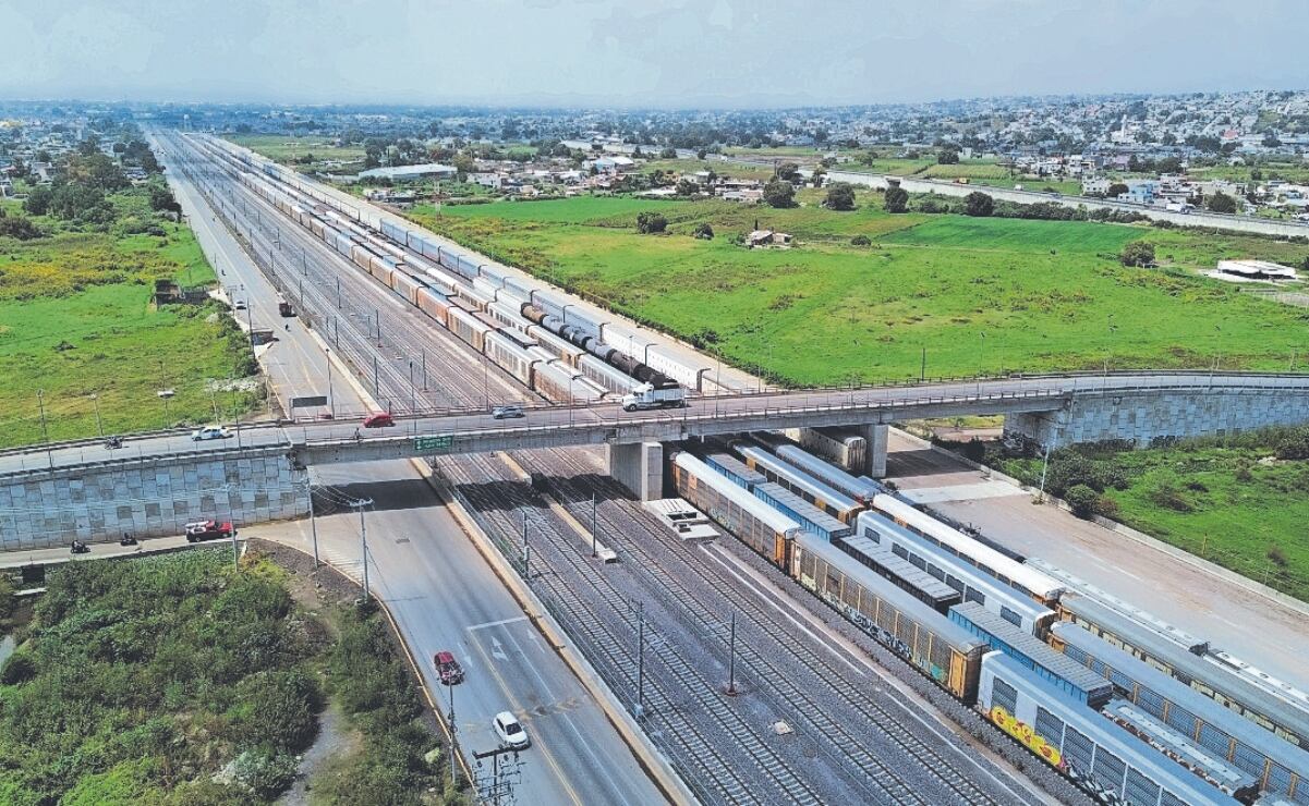 Plantea Movimiento Ciudadano que se nieguen permisos de construcción cuando haya derribo de árboles