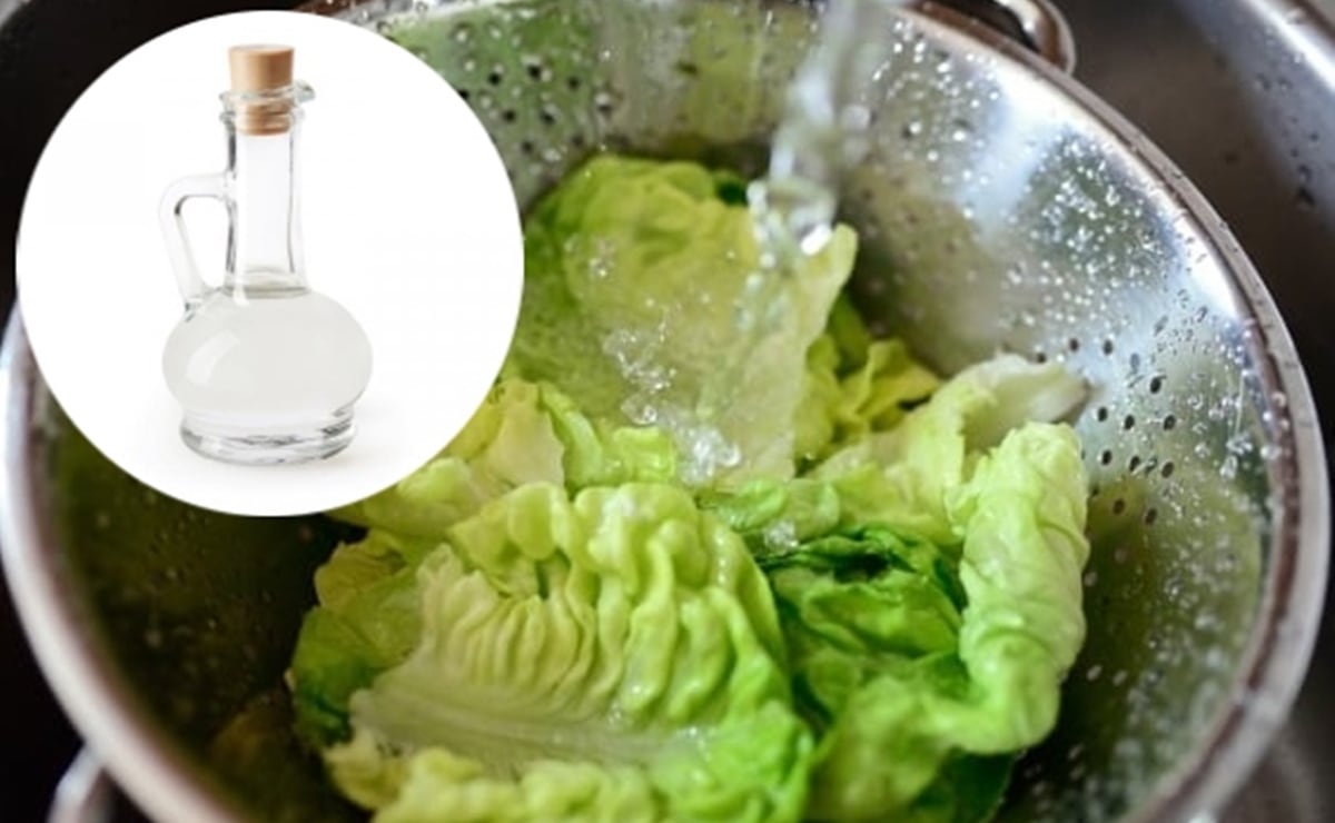 Reportan que Emily, hija de Gloria Estefan, es agredida por su novia, quien ya fue detenida