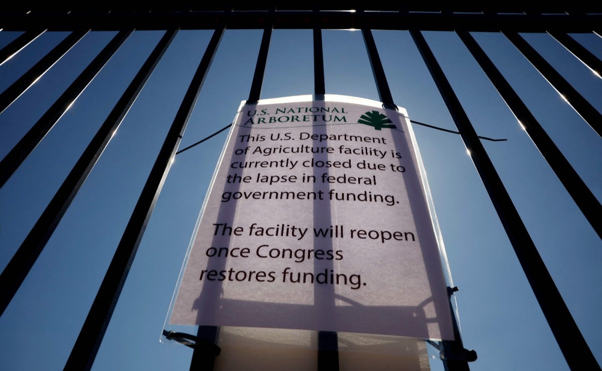 El nuevo entrenador de la Liga MX que podría ser “robado” por el futbol argentino