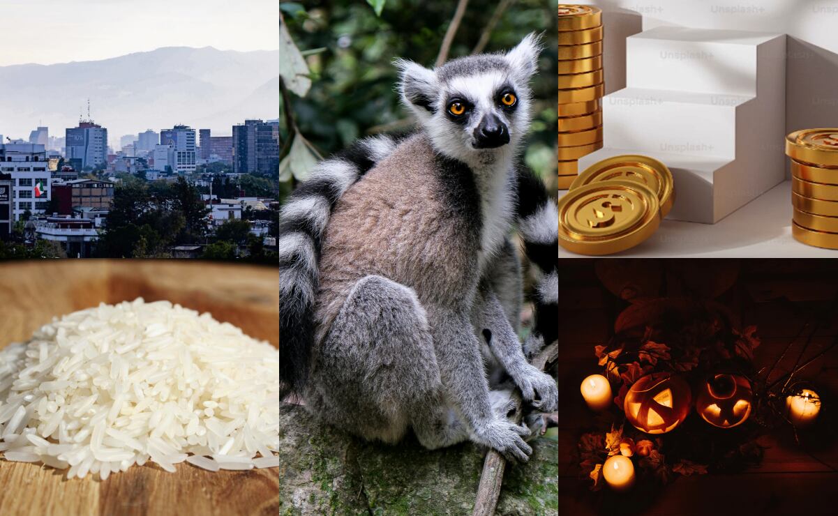 Levantan productores de maíz bloqueo parcial que mantenían en la caseta de peaje de Cuatro Caminos en Sinaloa