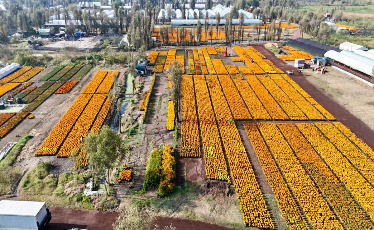 Nos estamos hundiendo, y ningún Batman con sus batichicas nos salvarán