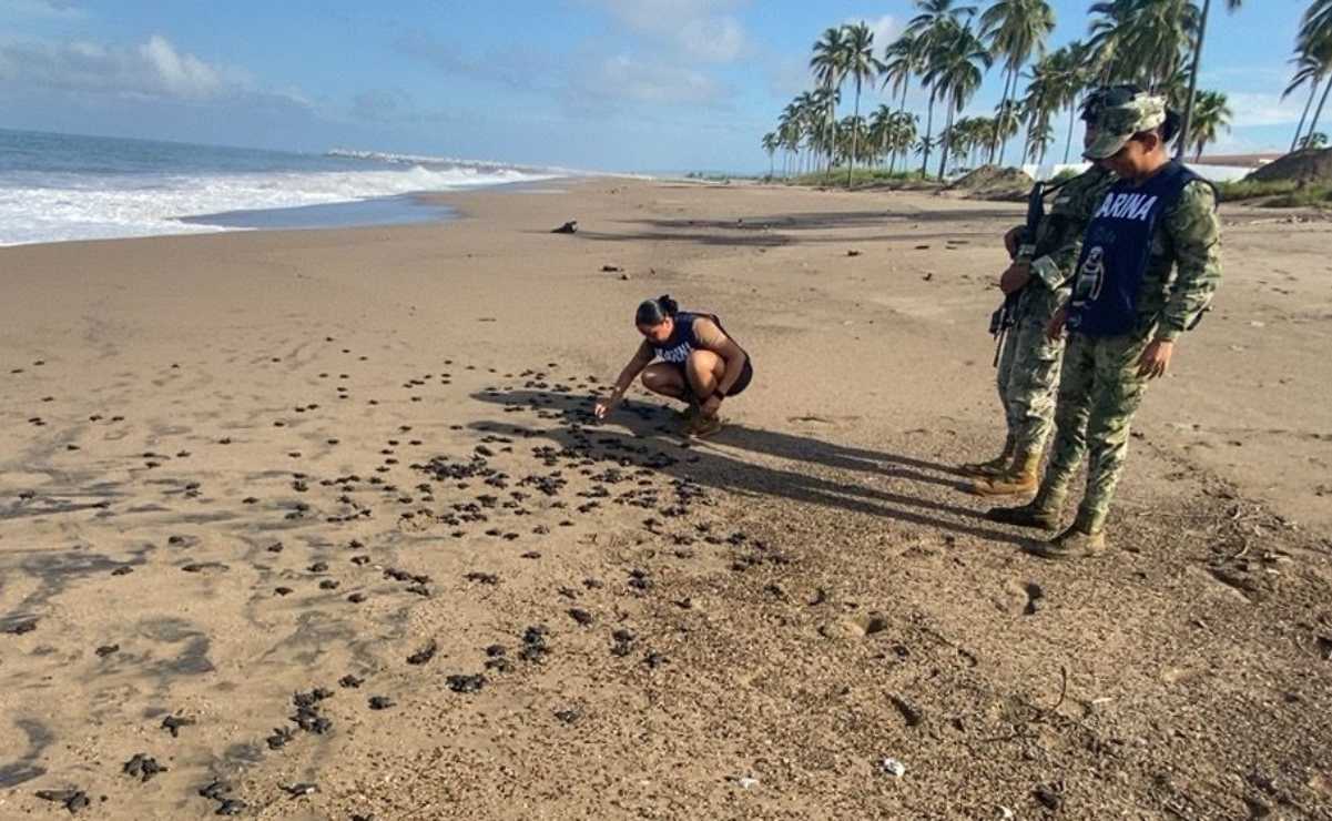 Localizan a joven de 13 años reportada como desaparecida en Tamaulipas