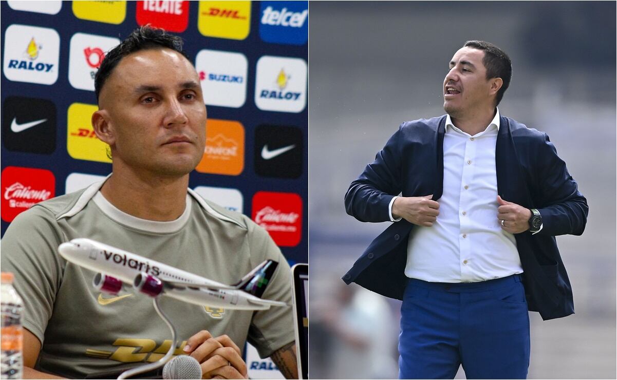 ¿Cuándo comienza la temporada de migración de mariposas monarca? Conoce la fecha en qué finaliza