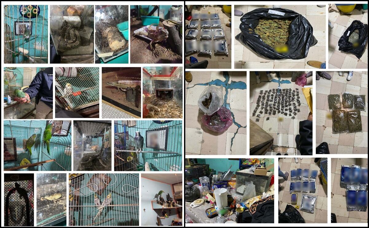 El Fantasma de la Ópera toma el Teatro Insurgentes tras 40 años de su estreno mundial