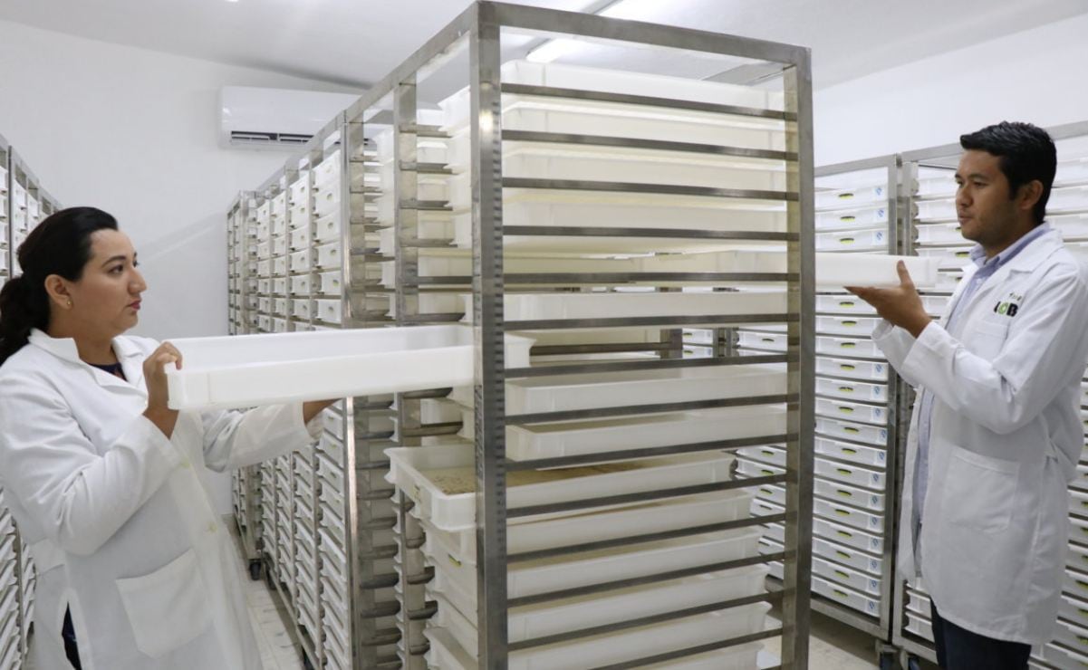 Trabajadores de apps están 