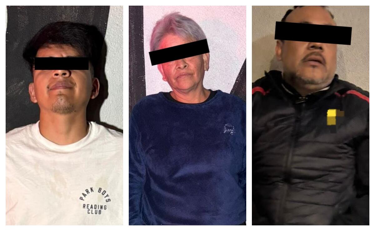 La mañanera de Sheinbaum, 12 de noviembre, minuto a minuto 