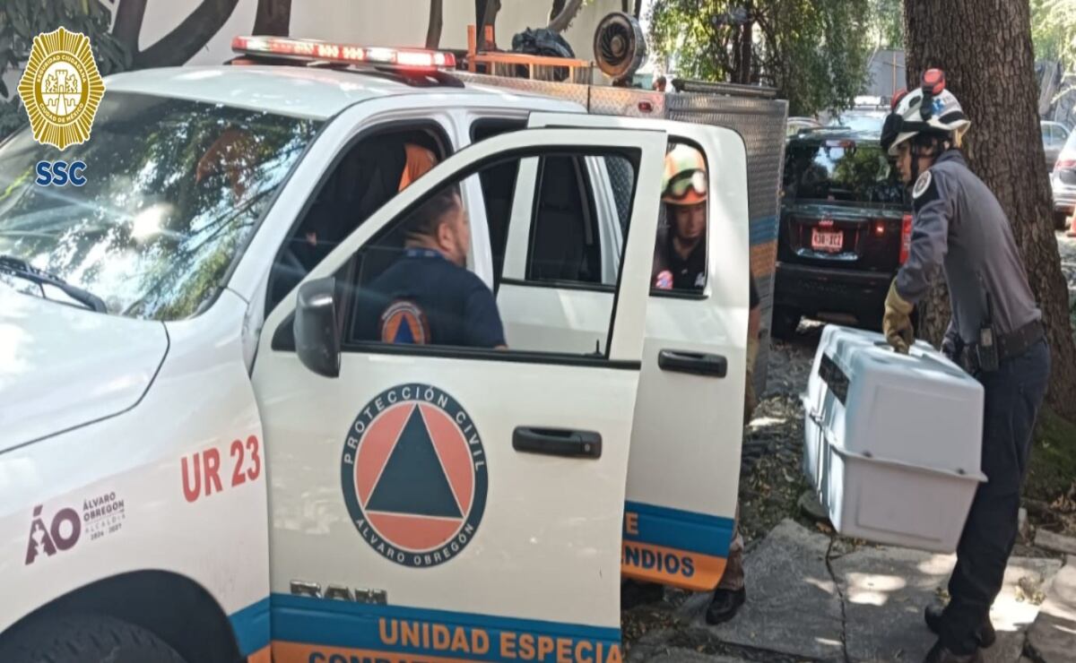 Sección 22 del SNTE inicia paro de 48 horas y toma de plazas comerciales en Oaxaca