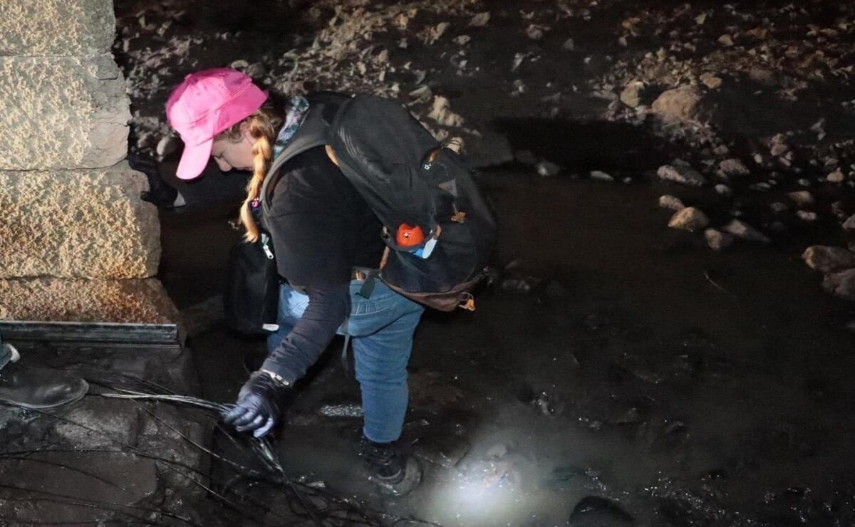 ¿Quién es Johnson Wen, el influencer que protagonizó tenso momento con Ariana Grande?  