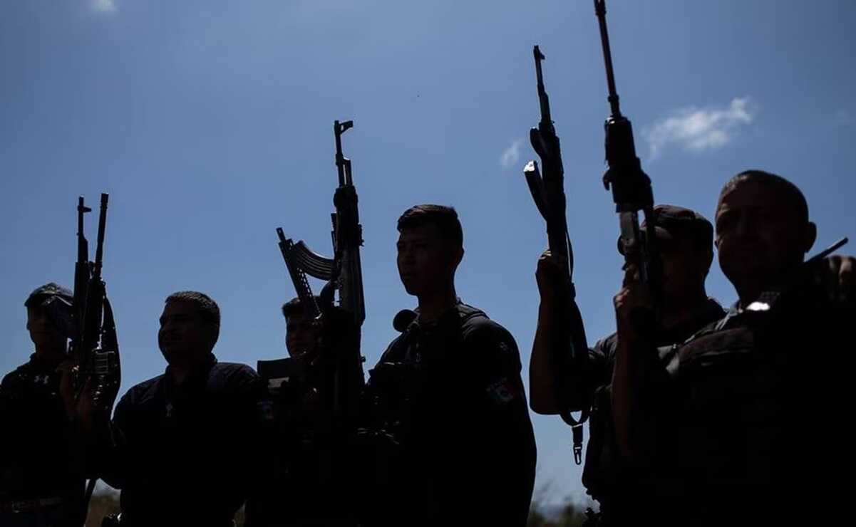 ¿Tu perro te da su pata sin que se lo pidas? Esto significa, según experto