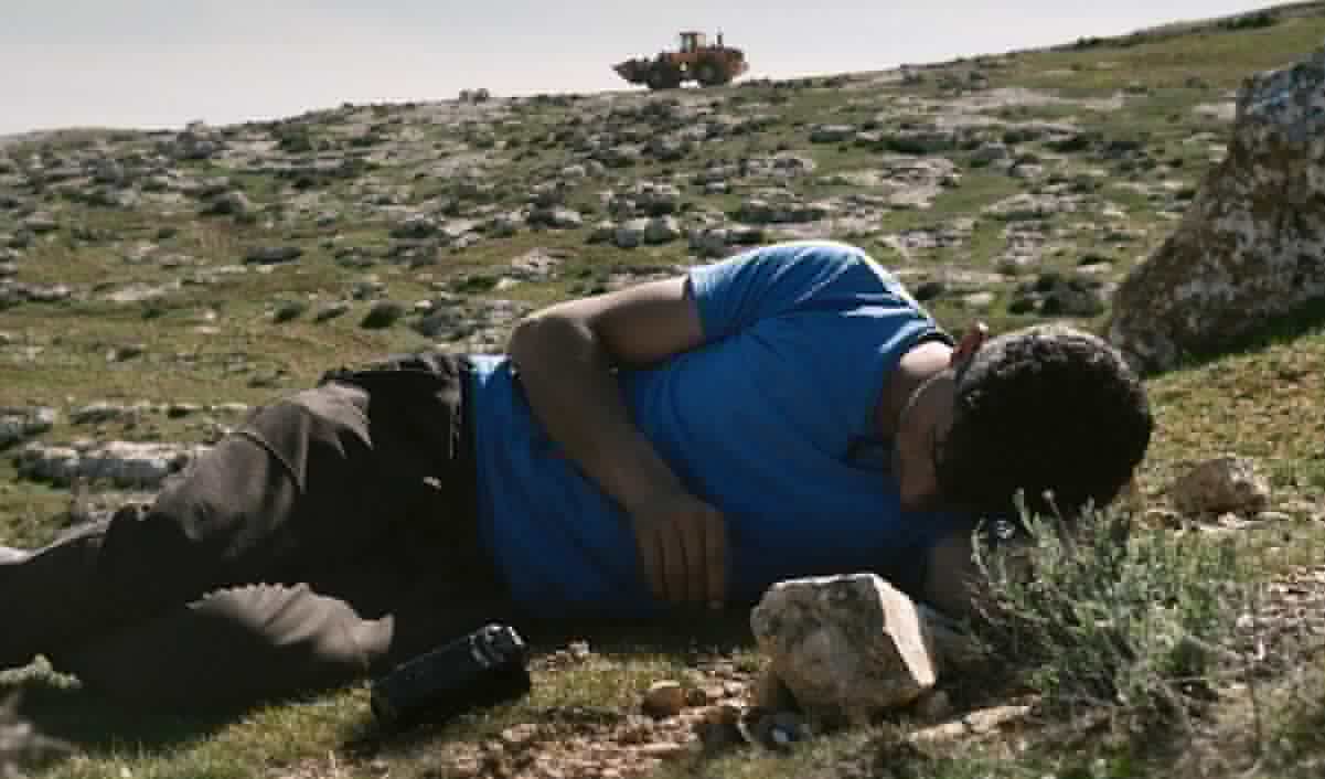 Detienen a tres hombres con aves en peligro de extinción en carretera de Dzidzantún, Yucatán