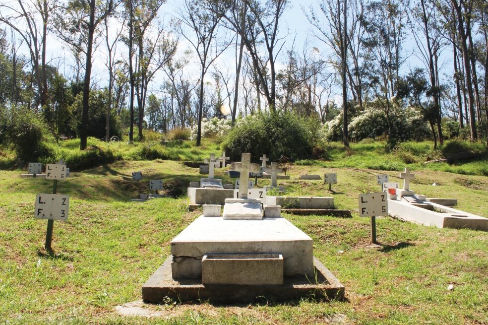 Melómanos hacen del Corona un festejo otoñal