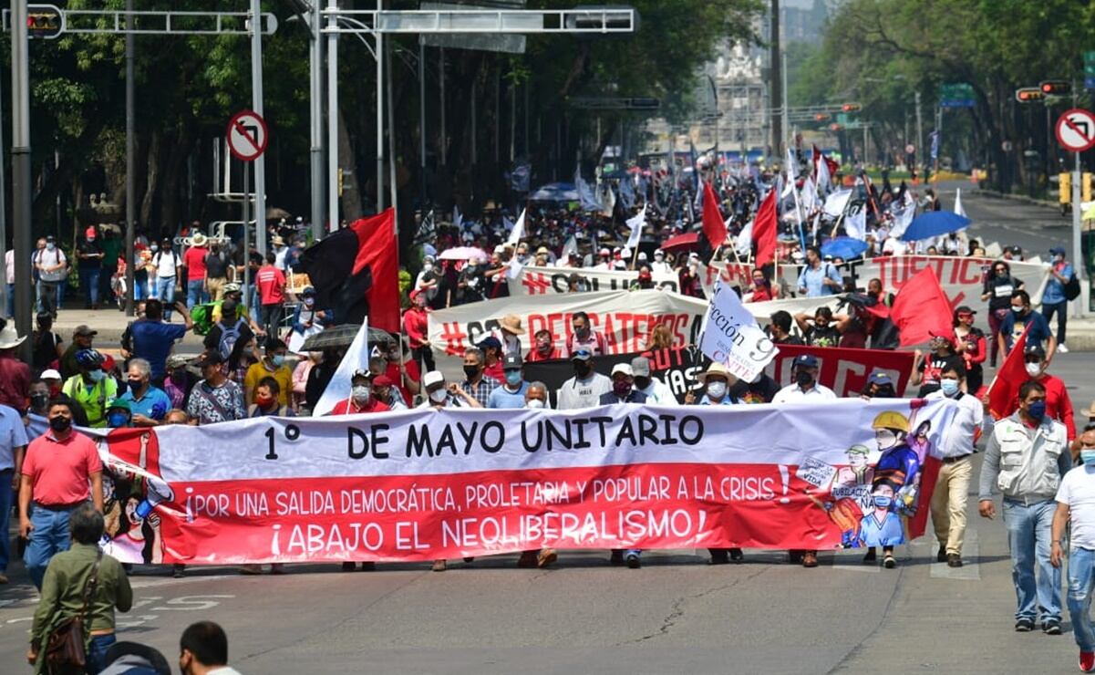 Ronronea en el Zócalo el gato letón