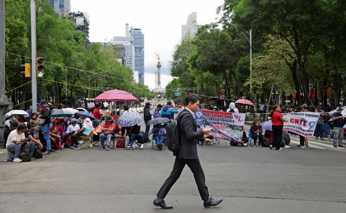 Por gusano barrenador, continúa suspensión de importación de ganado de México a EU; invertirán 21 mdd para su erradicación