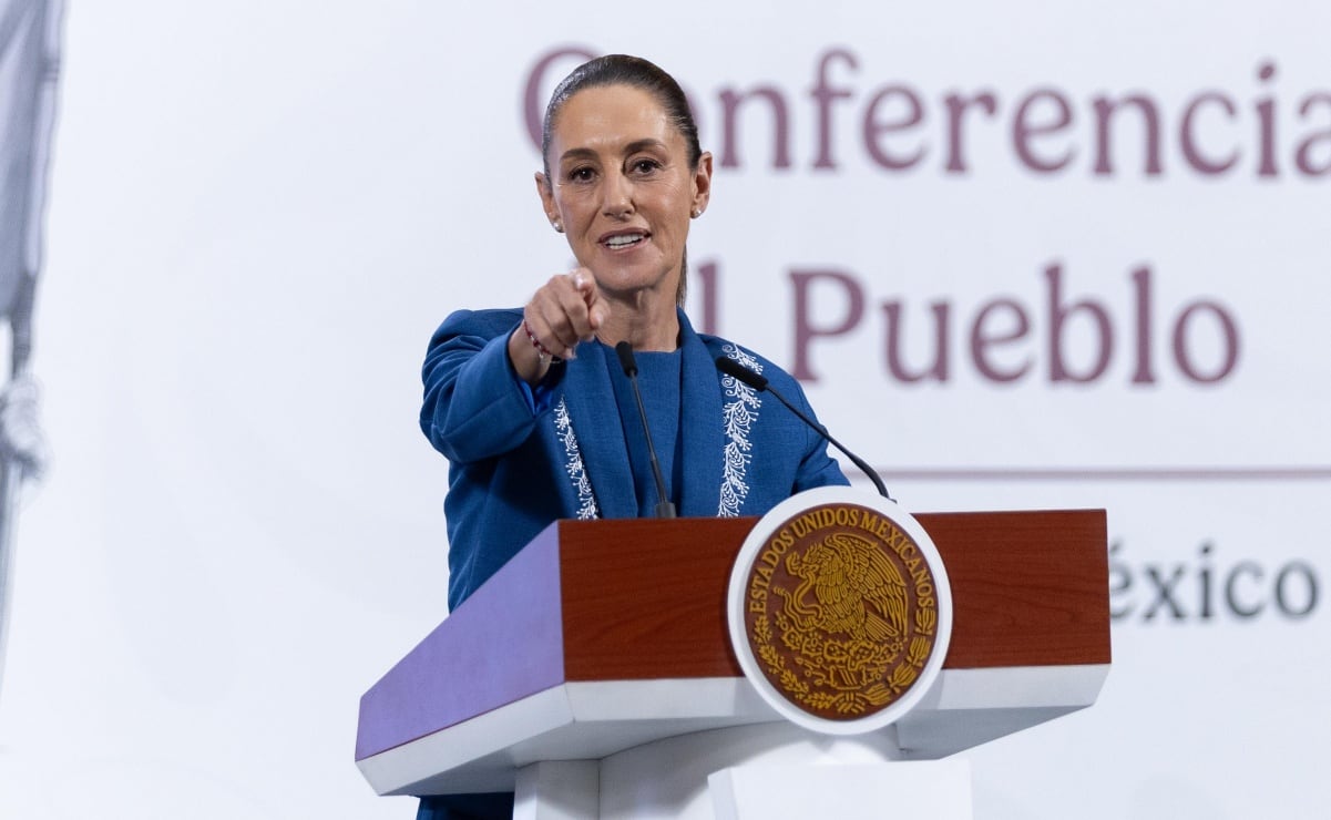 Alcaldía Benito Juárez, vecinos y Sedema acuerdan no tocarle ninguna hoja a Laureano; buscan declararlo como árbol patrimonial