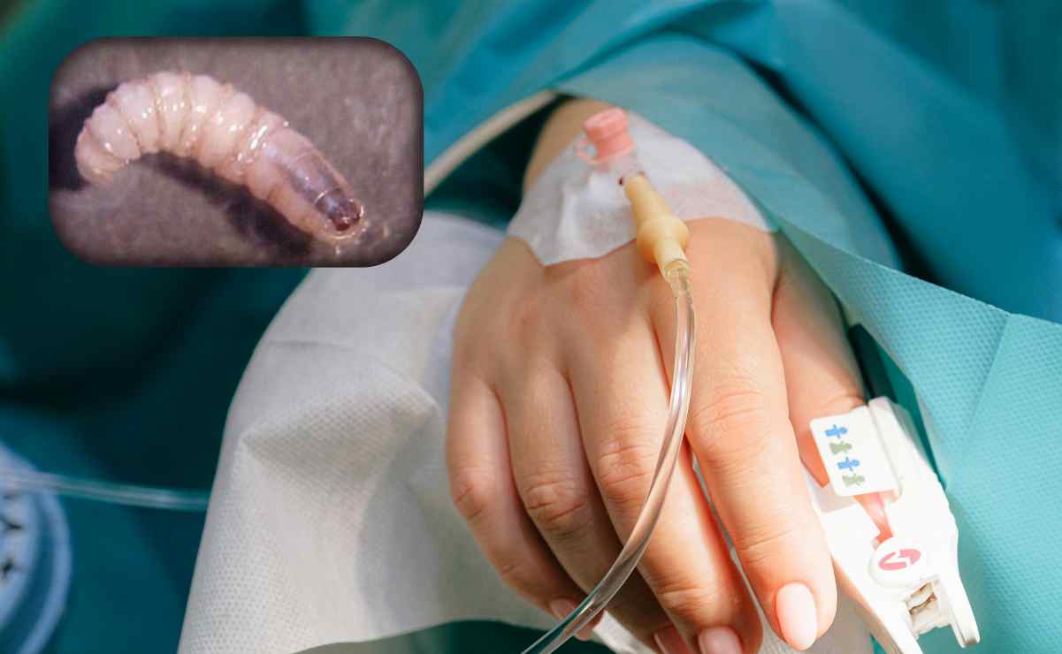 Hospitalizan de emergencia a Elijah Blue Allman, hijo de Cher; fue hallado en estado errático