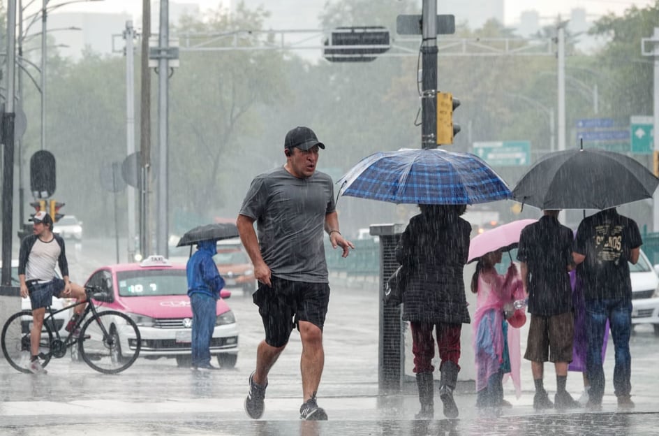 La Güera, la mano detrás de El Betito y de la Unión Tepito
