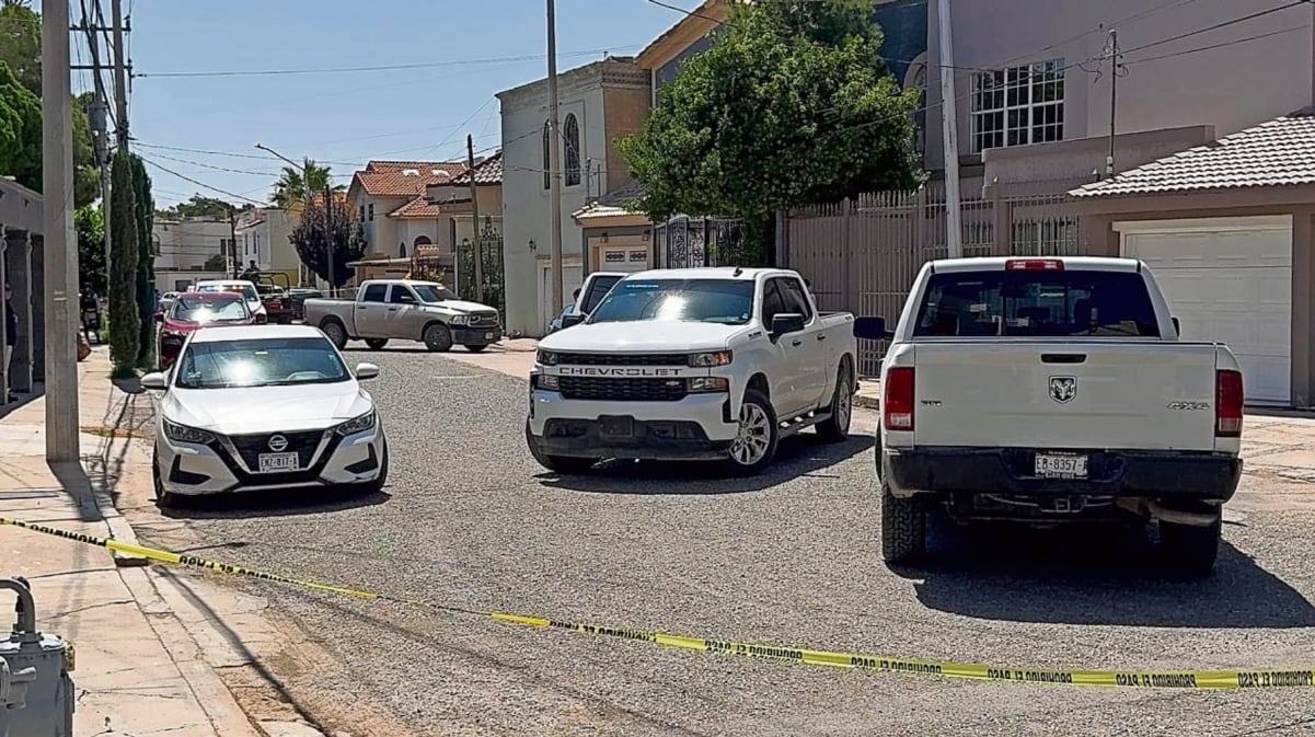 Caballo que jalaba carreta de basura muere en calles de Tultitlán; hecho causa indignación