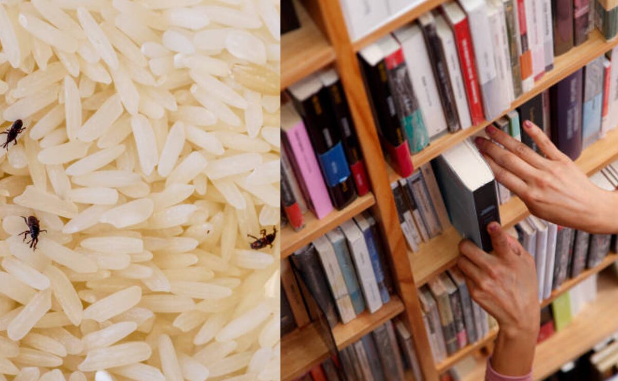 Sheinbaum: Investigaciones sobre “huachicol“ es a todos los niveles; evita detallar si se indaga a servidores públicos
