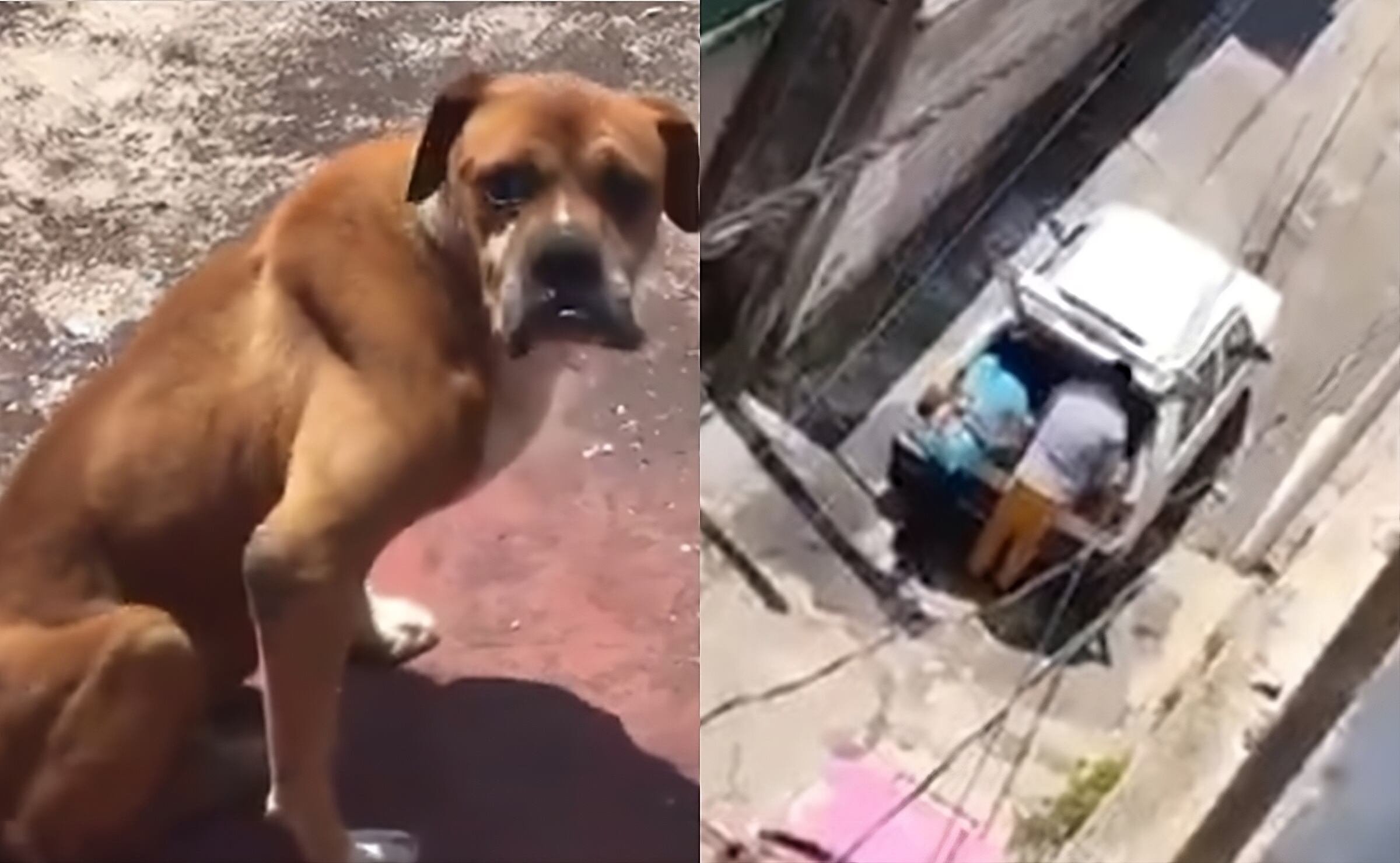 Un recorrido por Calakmul revela lo que MrBeast inventó