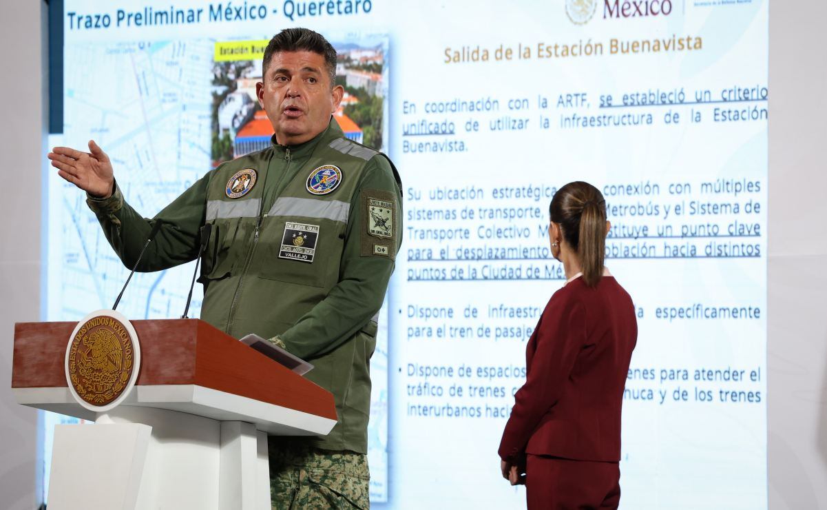 INE defenderá credencial de elector y padrón: Taddei