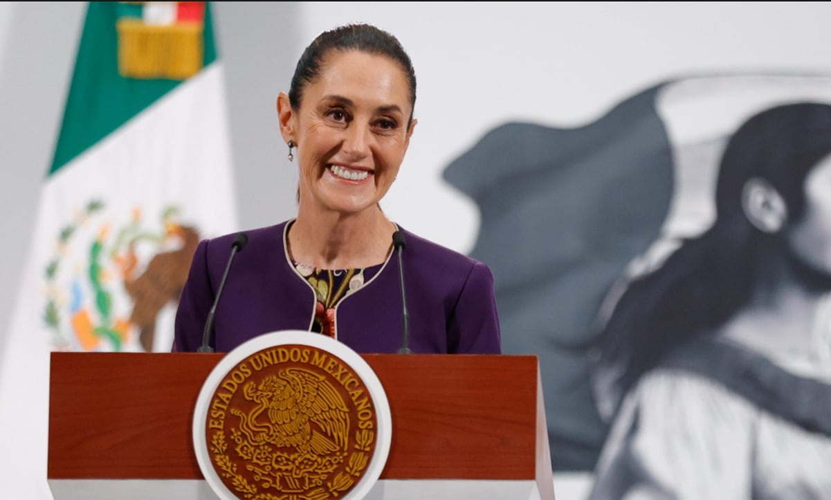 Renuncia de Teresa Reyes a la CNB, aunque tardía, necesaria: colectivo; exigen consulta previa para próximo nombramiento