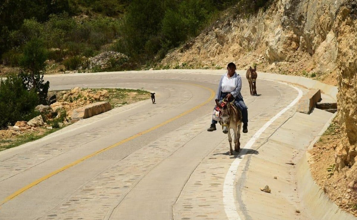 Motociclista ayuda a pasar ambulancia entre el tráfico; su acción es aplaudida en TikTok