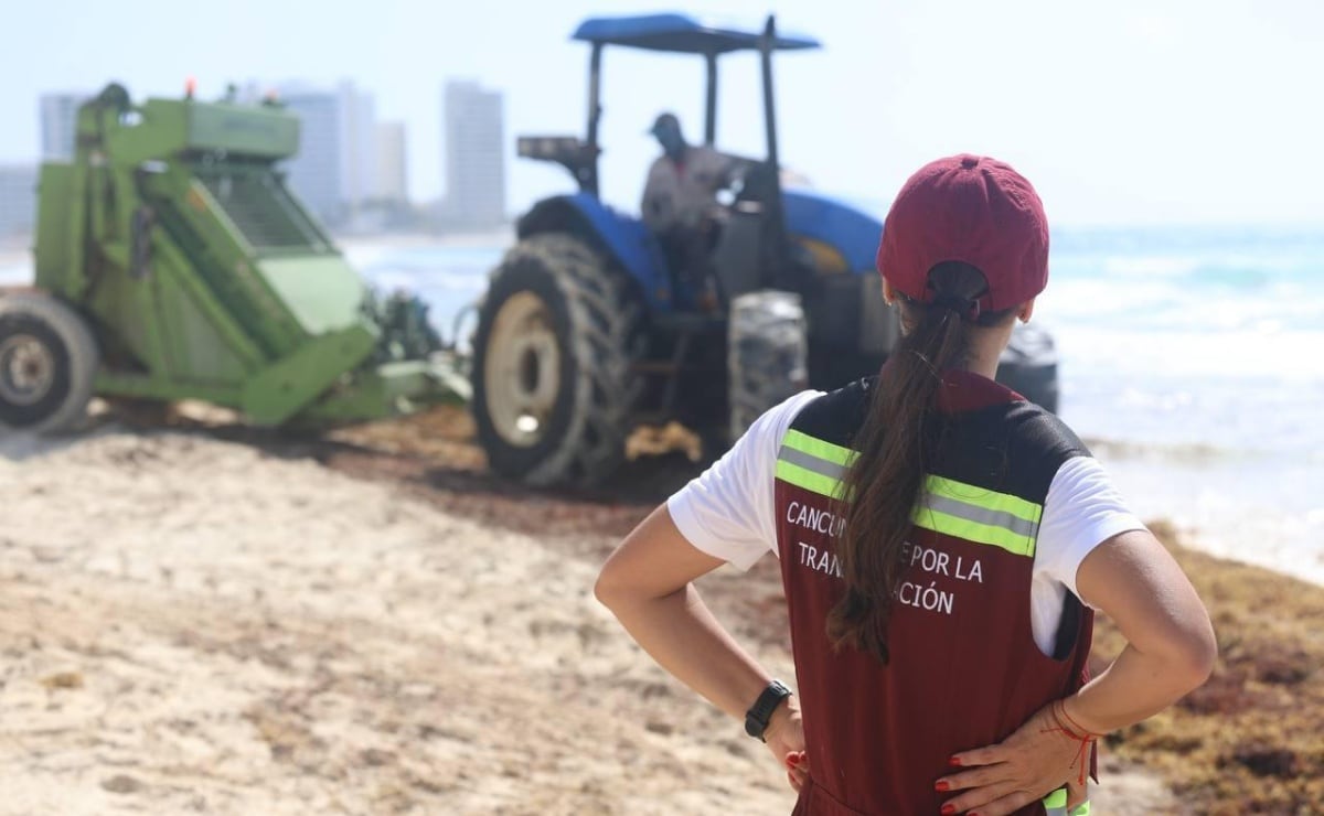 Ganaderos suman 850 mdd en pérdidas por veto fronterizo de EU; afecta exportación de 800 mil cabezas de ganado  