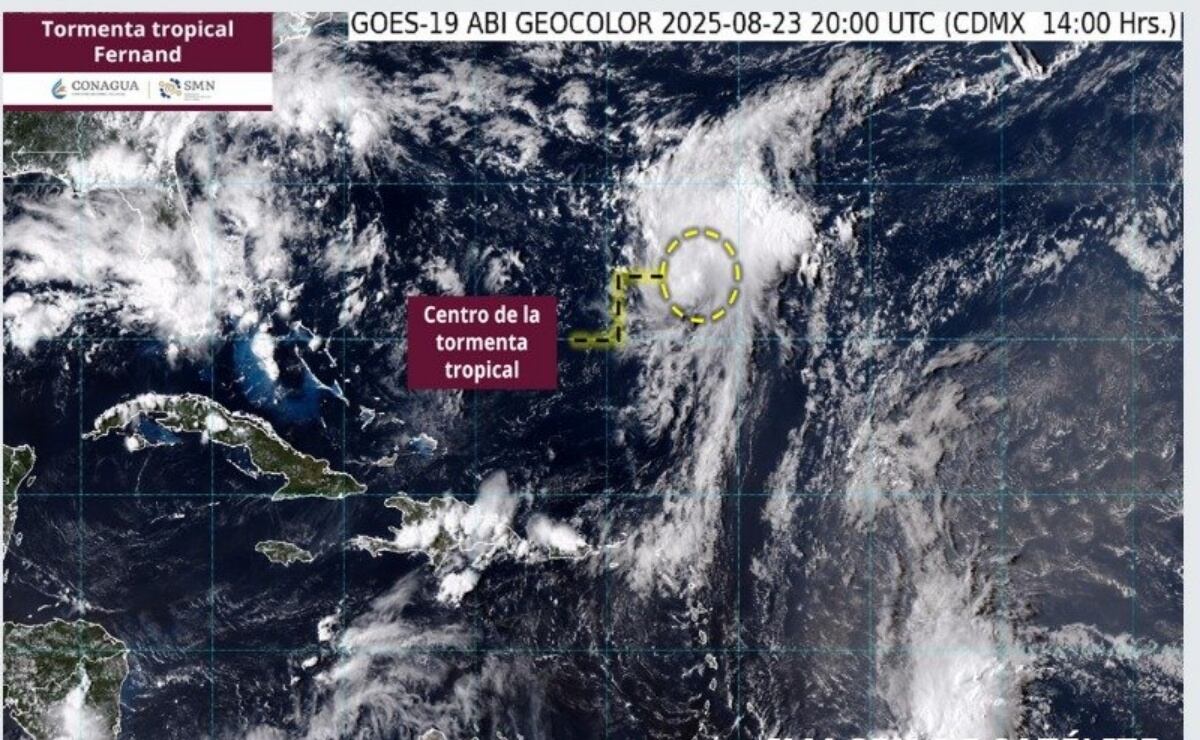 Huracán Erin: EU ordena evacuaciones en islas de Carolina del Norte; inundaciones costeras se prevén para el martes 