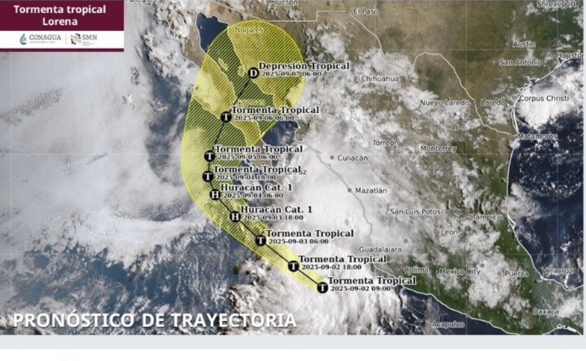 Lluvias de este martes dejan 63 encharcamientos y 10 árboles caídos en CDMX; microbús varado y vialidades afectadas