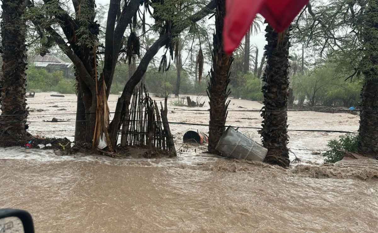 Tras ataque armado, Marina asegura fusiles, municiones y droga en Cosalá, Sinaloa