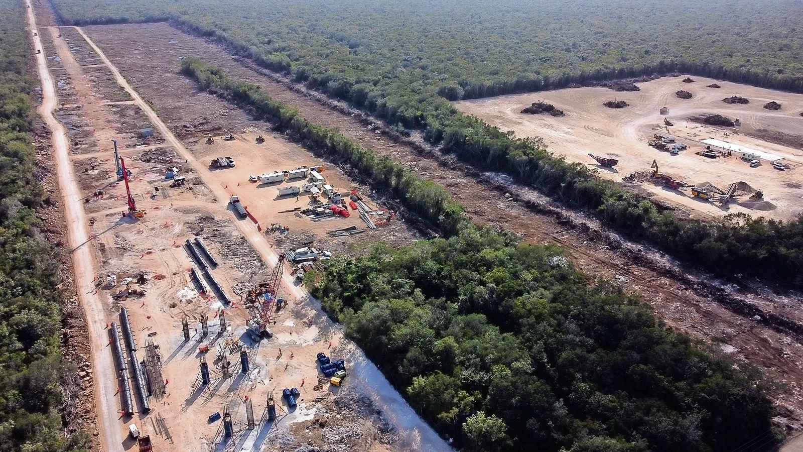 Reportan muerte por enfermedades crónicas de 3 adultos mayores que tuvieron gusano barrenador