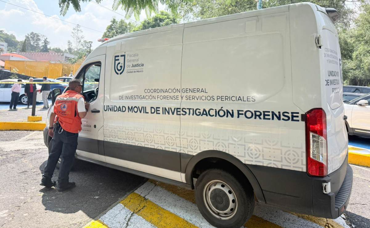 Sheinbaum pide a EU no ser discrecional sobre abrir o no la frontera al ganado mexicano por gusano barrenador