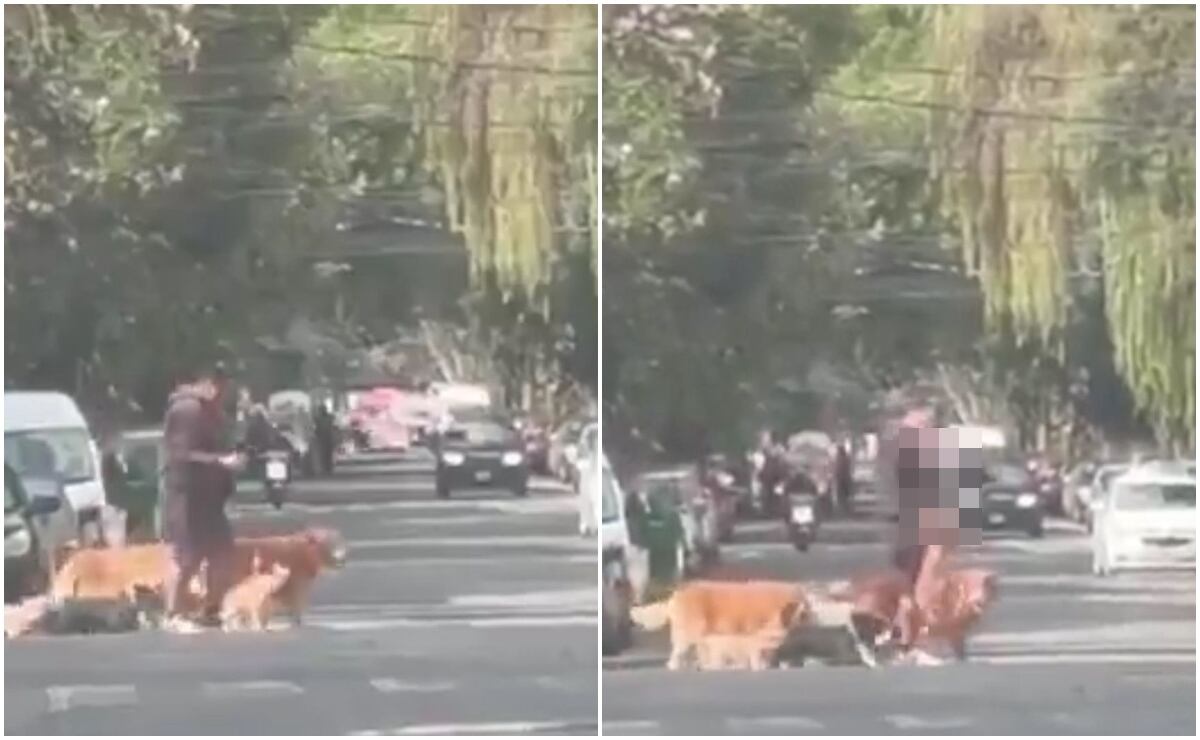 Rescatan a dos personas privadas de la libertad en Reynosa, Tamaulipas