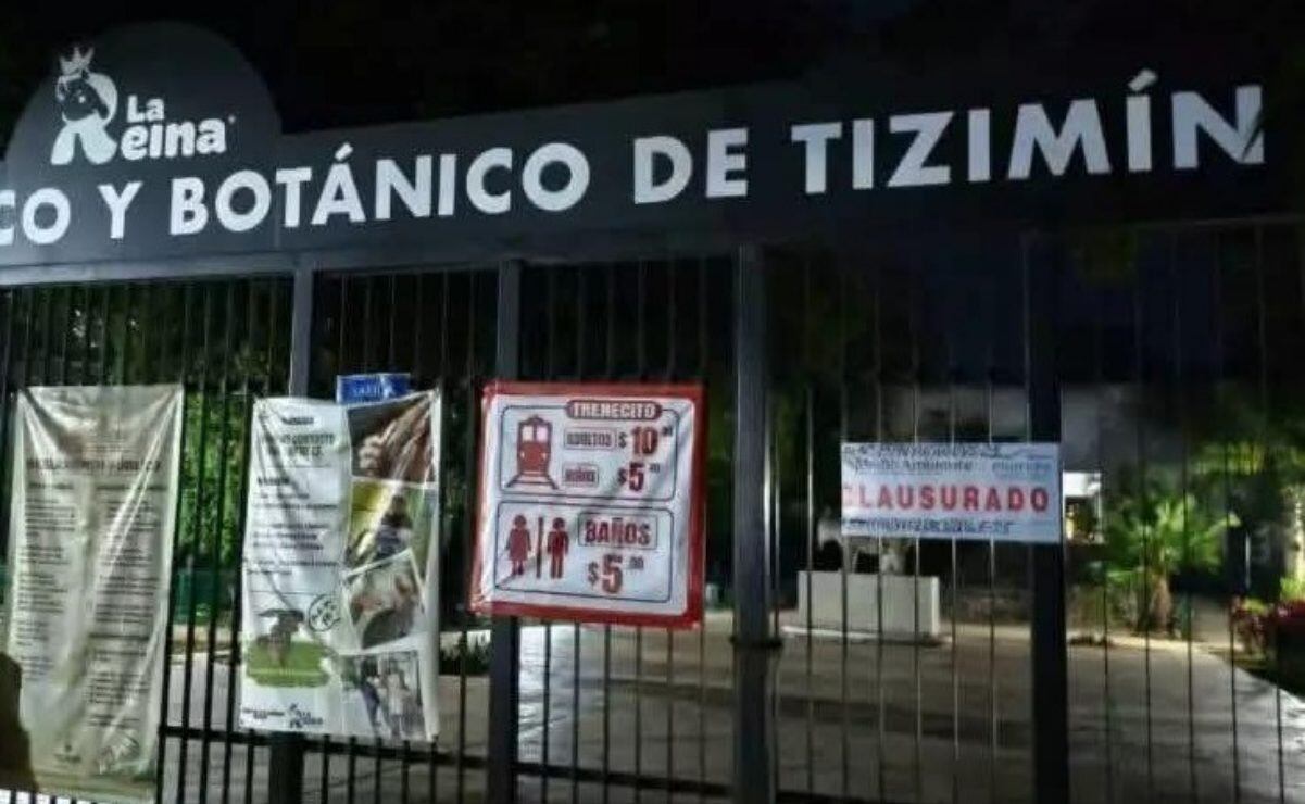 Secretaría de Salud inicia rociamiento de insecticidas en zonas afectadas por lluvias; busca evitar brotes de dengue