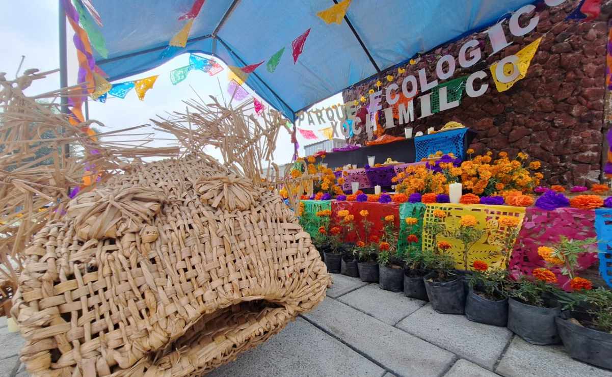 Día de Muertos 2025: Cómo preparar calaveritas de azúcar caseras para tu ofrenda