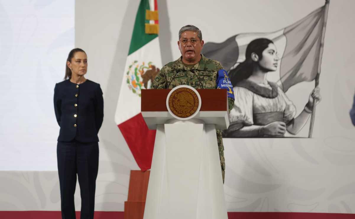 Álvarez-Buylla omitió declarar construcción de casa-estudio para su hija
