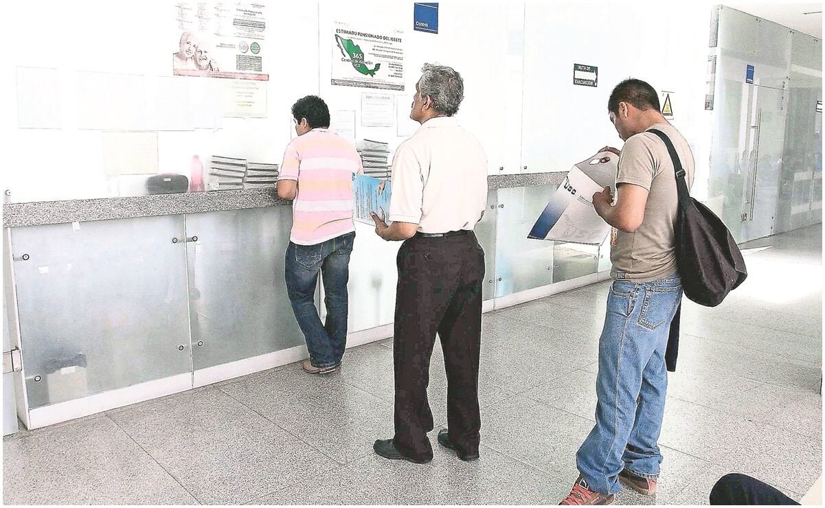 Sin avances, negociación para eliminar cuotas de EU a jitomate mexicano; caen exportaciones casi 20%