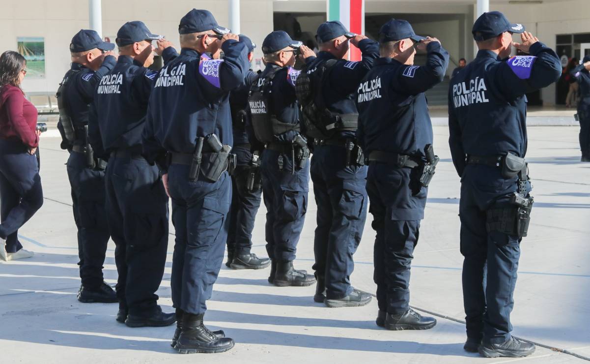 5 plantas que repelen mosquitos y ayudan a mantener tu casa libre de insectos