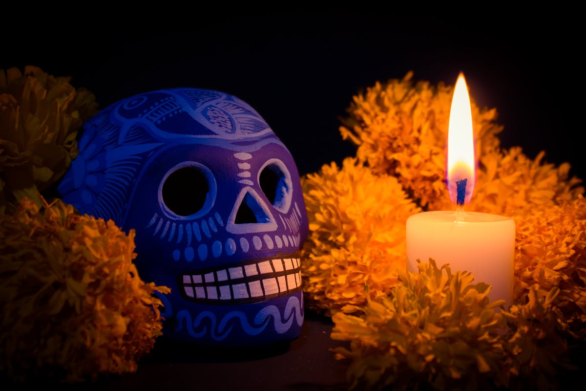 ¿Pasarás Día de Muertos en Guanajuato? Acude a las “callejoneadas macabras” y recorridos nocturnos en panteón de Santa Paula