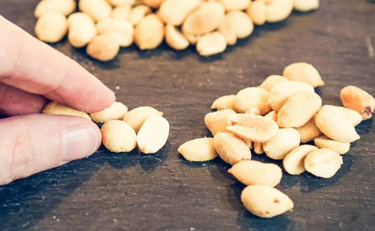 Sheinbaum se lanza contra Felipe Calderón; reacciona a ayuda que pidió Cárdenas Batel para Michoacán