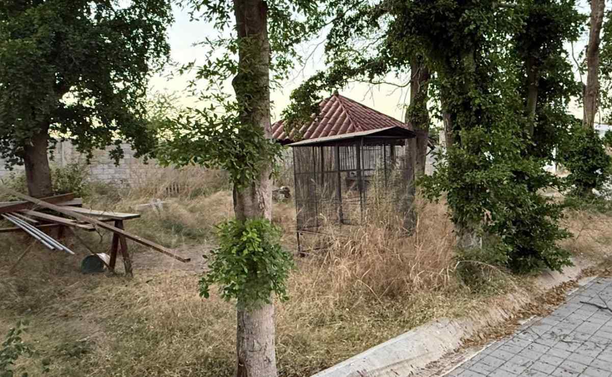 Agentes federales de migración en EU se llevan a bebé tras detener a su padre