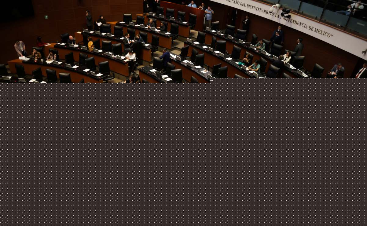 INAH confirma que hallaron un cráneo humano y un fragmento de cerámica en las obras de la Calzada Flotante