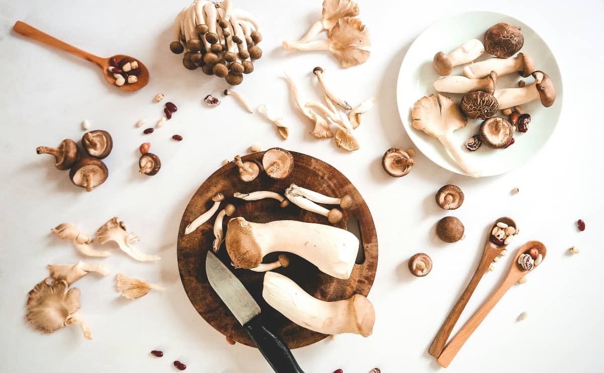 Juez federal ordena liberar a cientos de arrestados en redadas migratorias de Chicago