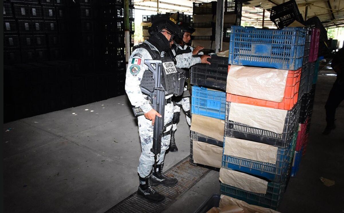 Eliminatorias UEFA: Horario y canales para ver EN VIVO los partidos de Francia, Italia, Portugal e Inglaterra; Hoy, jueves 13 de septiembre